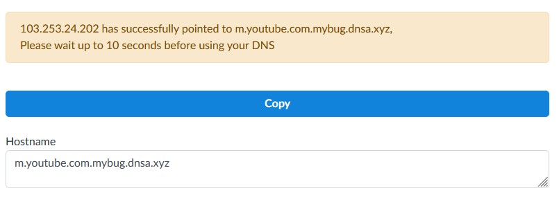 How to Point DNS Easily
